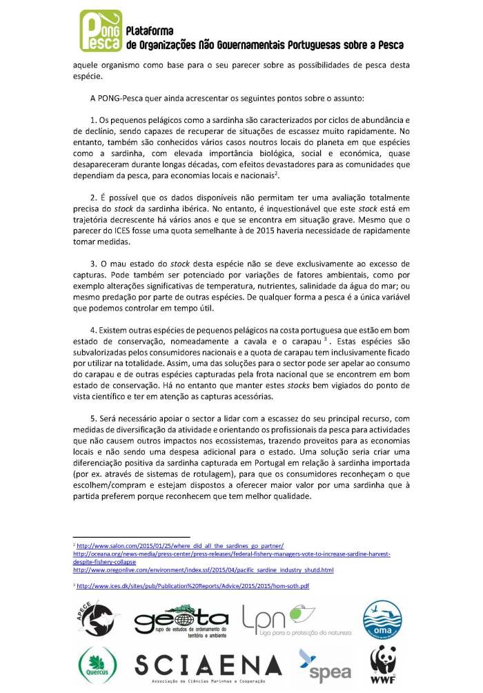 ci_sardinha_alargado_pong-pesca_page_2