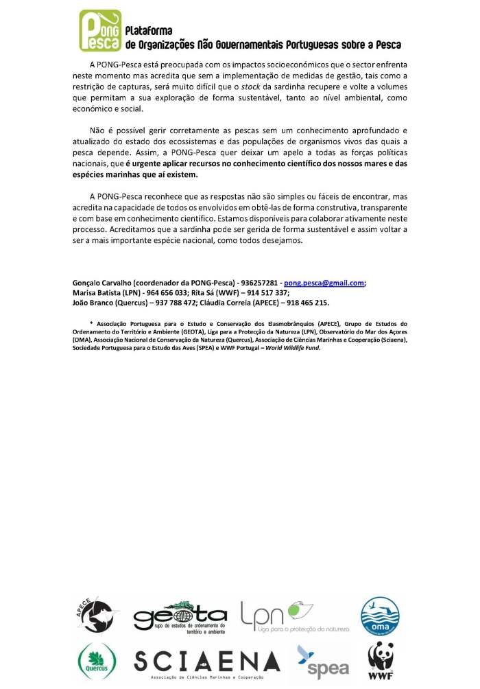 ci_sardinha_alargado_pong-pesca_page_3